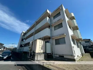M'Sの画像