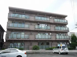 グレース妙慶の画像