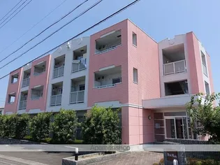 岐阜県岐阜市西中島2丁目【マンション】の外観