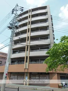 ソフィアグレース八千代の画像