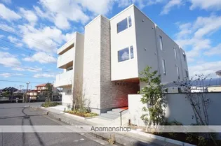 アイビーの画像