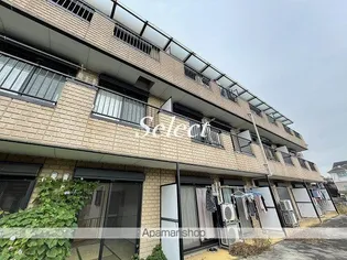 ドルチェ磯子の画像