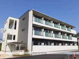 チェリー ブロッサムの画像