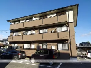 ハイカムールA&Aの画像