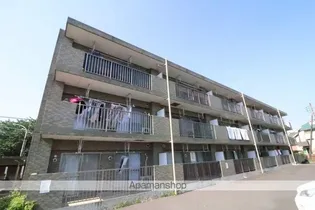 アリュールの画像