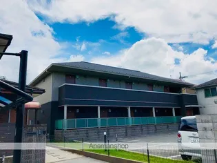 Y'Sコートの画像