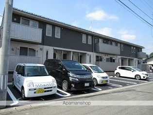 メイプル シンCの画像