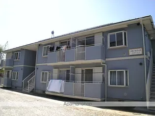 スカイセフィラの画像