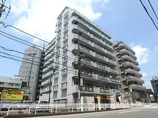 デイム橋本の画像
