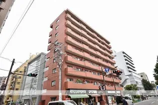 ライオンズマンション国分町【704号室】の外観