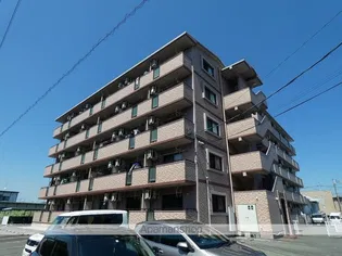インターラーゲンの画像