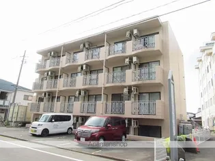 ヴィーヴル【205号室】の外観