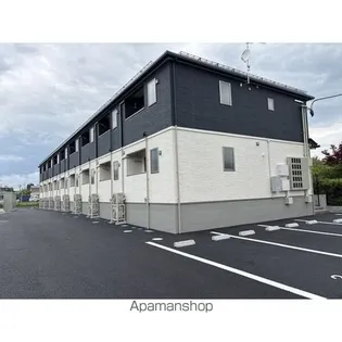 ミオレの画像