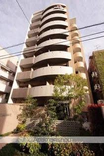 グレースTMの画像