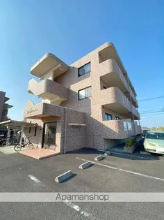 チェリーブロッサムIIの画像