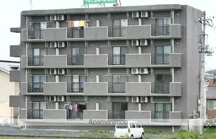 ソーシアルの画像