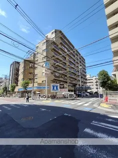ツイン コートの画像
