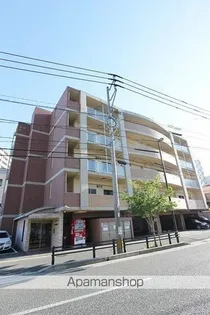 ルネスティエラの画像