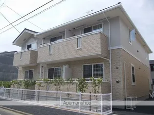 ハイジー ミヤタ Ⅲの画像