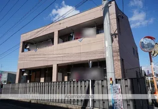 サンコートの画像