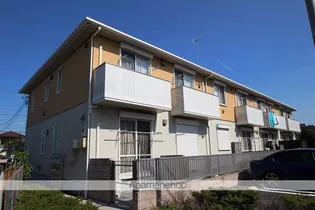 フェリチタ雲雀の画像