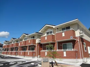 ヴィーナス 夏の画像