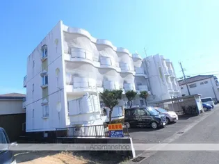 バートンプレイスの画像
