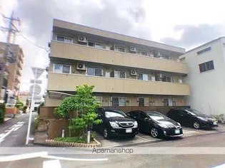 マグノリアの画像