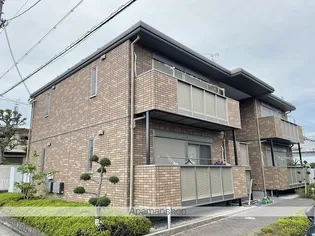 クリサンテームの画像