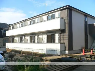 VILLAGE GLOBOの画像