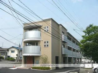 谷万成プリーモの画像