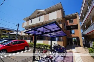 シールド青葉の画像