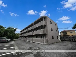 アヴァンデンスJUNIIの画像