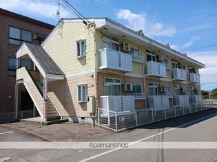 サザン クロスの画像