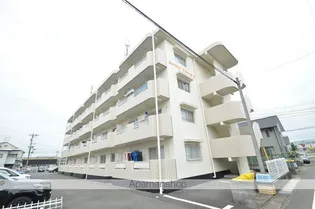ロイヤルマルトウIIの画像