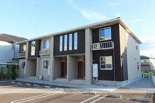 プリムラ カーサの画像