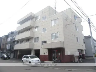 カジュアル33の画像