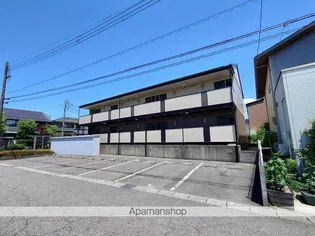 メープル コートの画像
