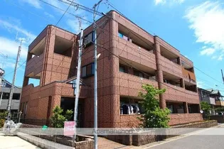 セレーナ プリマの画像