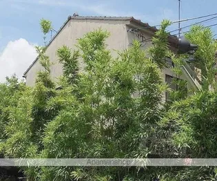 シティハイツ鞍馬口の画像