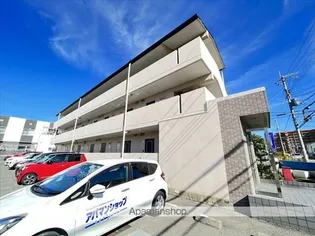 プリムローズIの画像