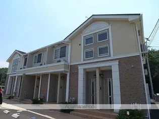 プリムローズIの画像