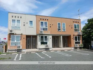 グローリーアカヒラの画像