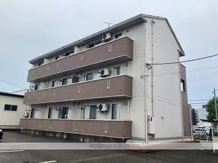アイビスの画像