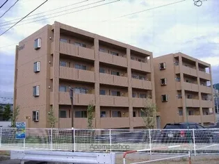 ヴィヴィッド桐の画像