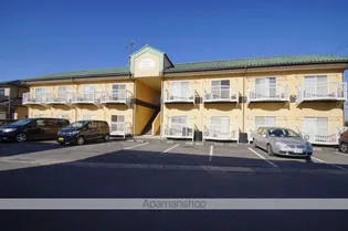 エンジェルヒルズ マミの画像