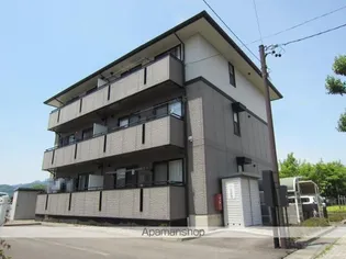 ハイカムールマルナカの画像