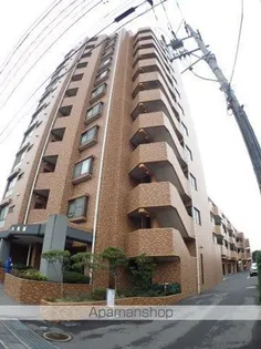 ダイアパレス本馬越の画像