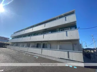 アイリスの画像