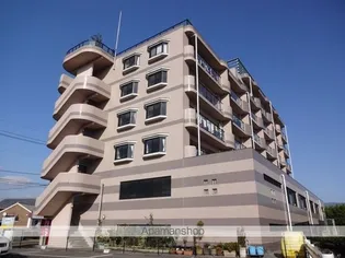 シャルマン21の画像